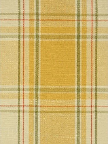 Hudson Yarn Dyed Big Plaid Blackout Double Pinch Pleat