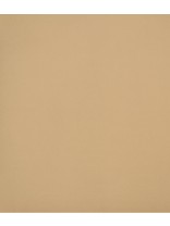 Lachlan C10 sesame 3 pass coated blockout polyester rayon blend ready made curtain