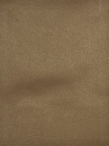 Swan Brown Color Solid Fabric Sample (Color: Raw Umber)