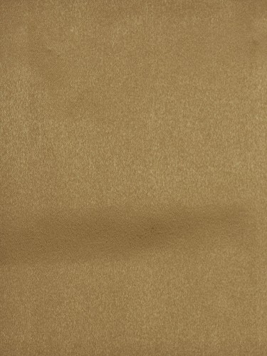 Swan Brown Color Solid Fabric Sample (Color: Bistre Brown)