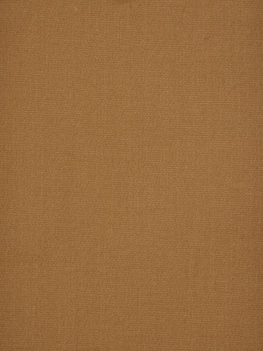 Paroo Cotton Blend Solid Concaeled Tab Top Curtain (Color: Ochre)