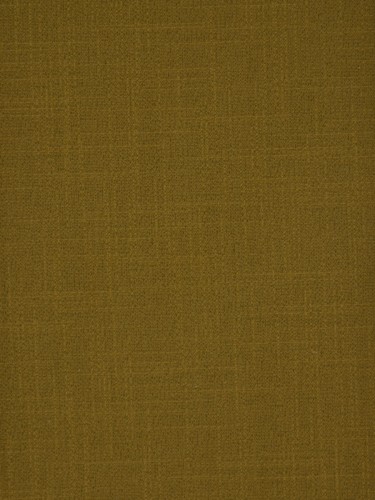 Paroo Cotton Blend Solid Tab Top Curtain (Color: Olive)