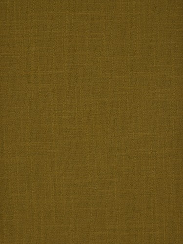 Paroo Cotton Blend Solid Concaeled Tab Top Curtain (Color: Olive)