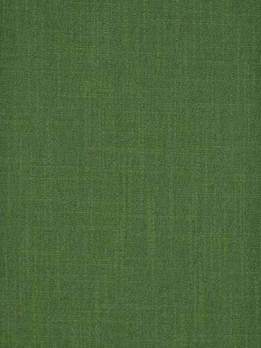 Paroo Cotton Blend Solid Double Pinch Pleat Curtain (Color: Fern green)