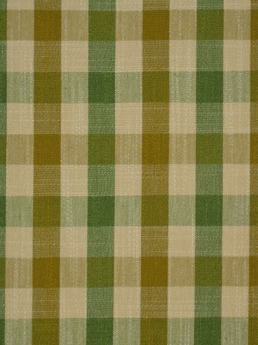Paroo Cotton Blend Small Check Versatile Pleat Curtain (Color: Olive)