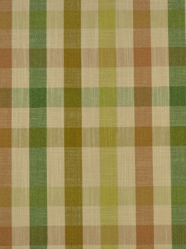 Paroo Cotton Blend Middle Check Double Pinch Pleat Curtain (Color: Olive)
