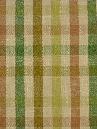 Paroo Cotton Blend Middle Check Concaeled Tab Top Curtain (Color: Olive)