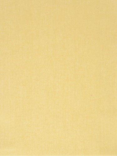 Eos Beige and Yellow Solid Linen Fabrics (Color: Dandelion)