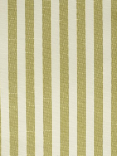 QYQ135BS Modern Small Striped Yarn Dyed Fabric Sample (Color: Brass)