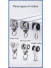 CHRY54 Big White Curtain Rails Metal Bearing Roller Ceiling/Wall Mount