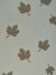 Gingera Maple Leaves Embroidered Sheer Fabric Samples Beaver Color