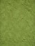 Silver Beach Embroidered Plush Vines Faux Silk Fabric Sample (Color: Apple green)