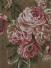 Rainbow Embroidered Camellia Dupioni Fabric Sample (Color: Brown)