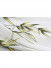 QYHL225G Silver Beach Embroidered Chinese Lucky Bamboo Grey Faux Silk Custom Made Curtains