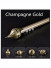 QYR26 Black Metal Curtain Rod Set With Rollers(Color: Champagne gold)