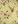 Blanched Almond