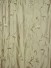 Franklin Deep Champagne Embroidered Floral Faux Silk Custom Made Curtains